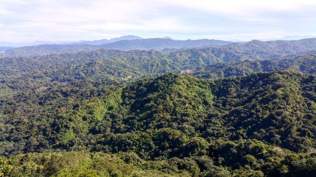 SEMADET denunciará mil 500 hectáreas de bosque que han sufrido cambio de uso de suelo en Jalisco