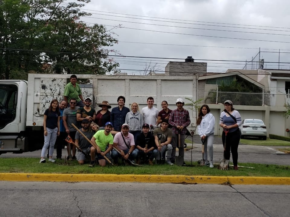 Ciudadanos plantan 300 árboles sobre el camellón de Av. Moctezuma