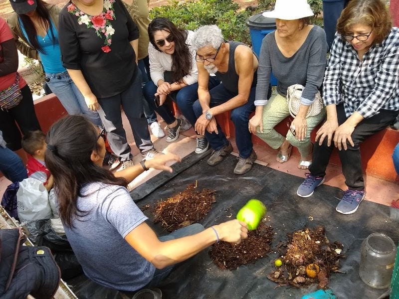 Huanatos Verde: encuentro con la conciencia ambiental