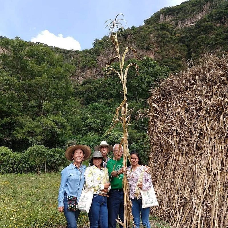 Equilibrio: agroecología y huertos comunitarios