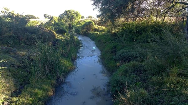 Jamay y la CEA en pláticas para construir una planta de tratamiento de efluentes de lácteos