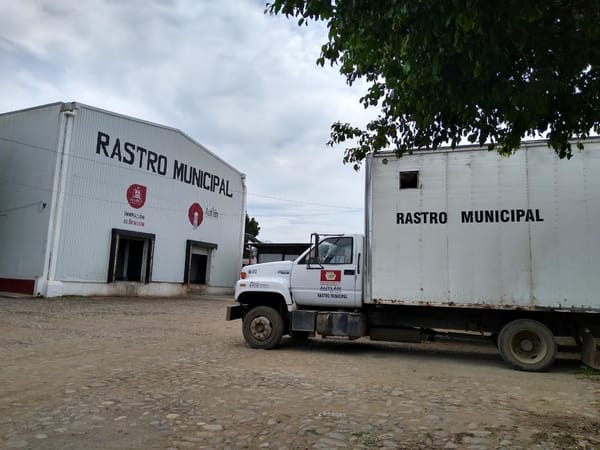 Rastro de Autlán de Navarro desecha residuos en el vertedero municipal