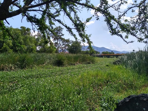 Sin claridad en el avance del inventario de descargas en la Cuenca del río Santiago