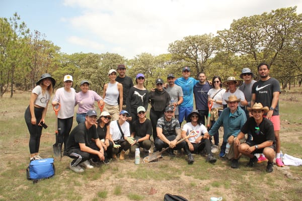 El Bosque de la Primavera prepara la reforestación 2024