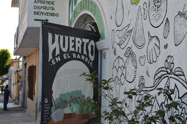 Huerto en el Barrio