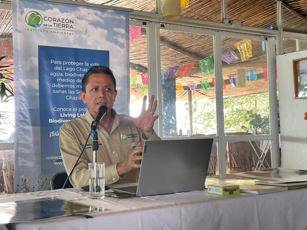 La importancia de los bosques para el lago de Chapala