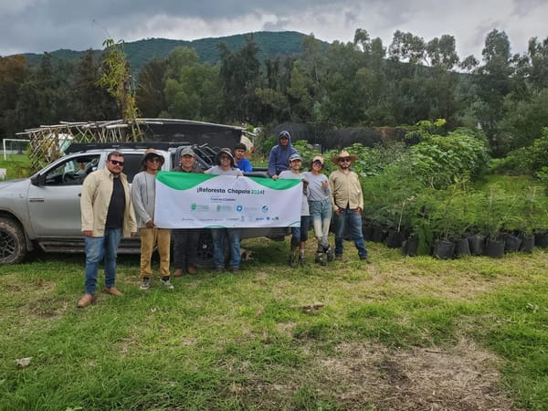 REFORESTA CHAPALA 2024 concluye con la participación activa de 16 instituciones y actores locales